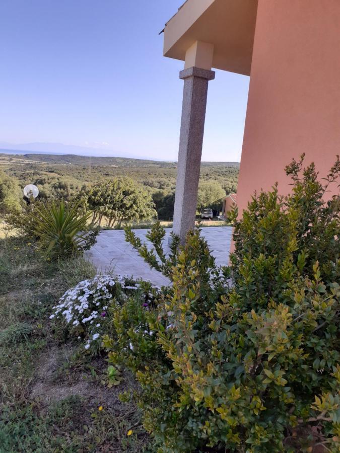 Agriturismo Gli Olivastri Appartamento Raggio Di Sole , Con Piscina E Vista Mare ,Climatizzatore,Wifi Алиенту Екстериор снимка