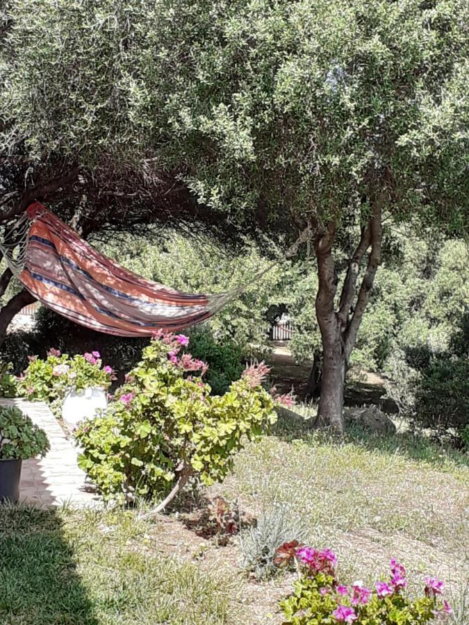 Agriturismo Gli Olivastri Appartamento Raggio Di Sole , Con Piscina E Vista Mare ,Climatizzatore,Wifi Алиенту Екстериор снимка