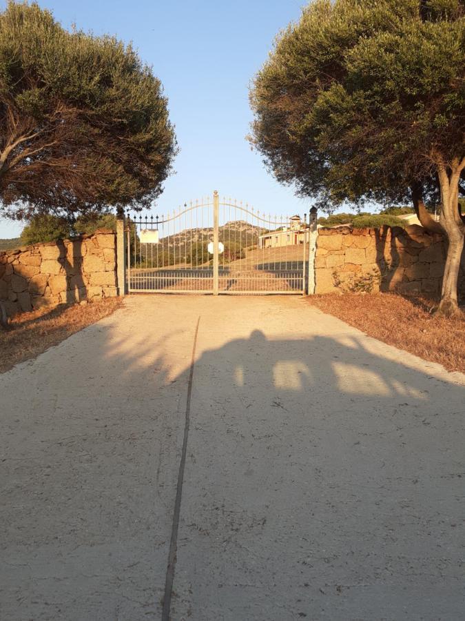 Agriturismo Gli Olivastri Appartamento Raggio Di Sole , Con Piscina E Vista Mare ,Climatizzatore,Wifi Алиенту Екстериор снимка