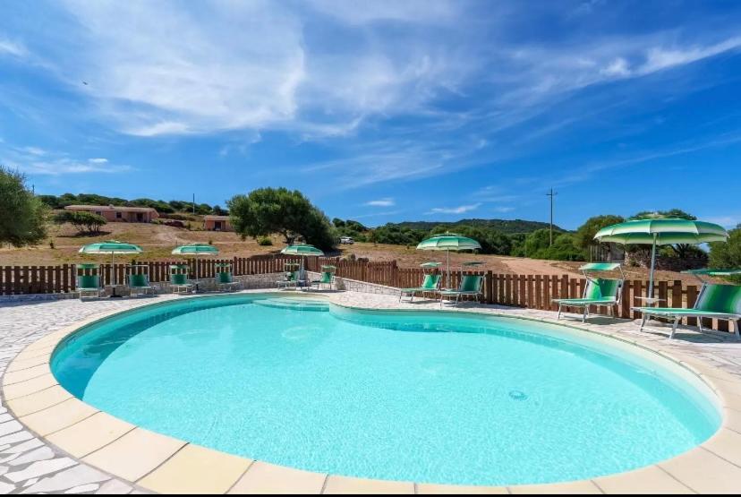 Agriturismo Gli Olivastri Appartamento Raggio Di Sole , Con Piscina E Vista Mare ,Climatizzatore,Wifi Алиенту Екстериор снимка